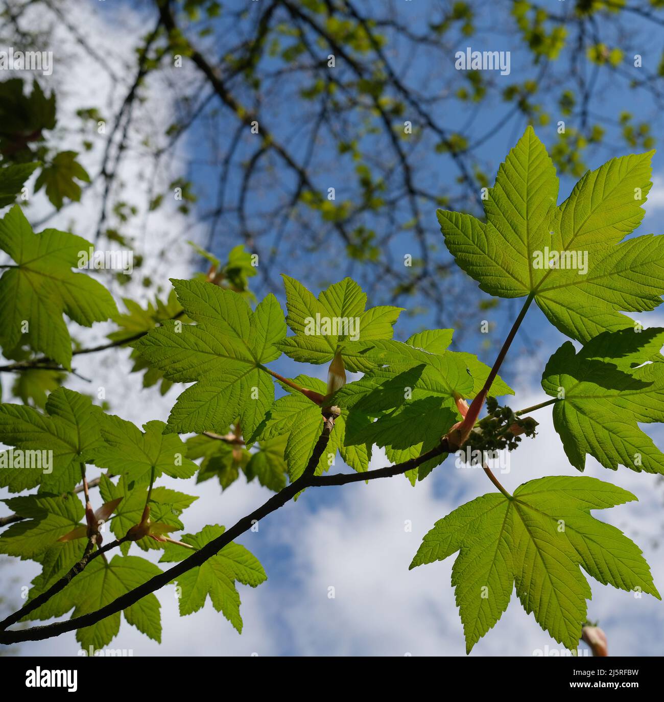 My Image 23
