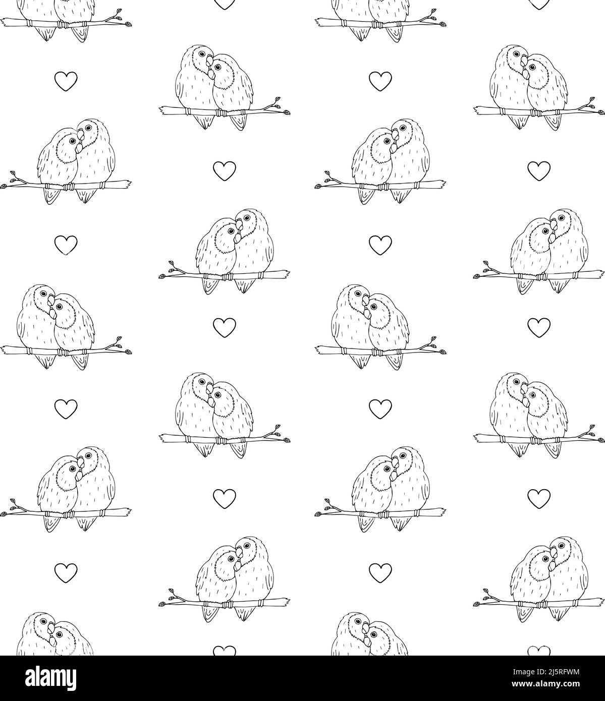 Vector seamless pattern of hand drawn doodle sketch lovebirds parrots ...