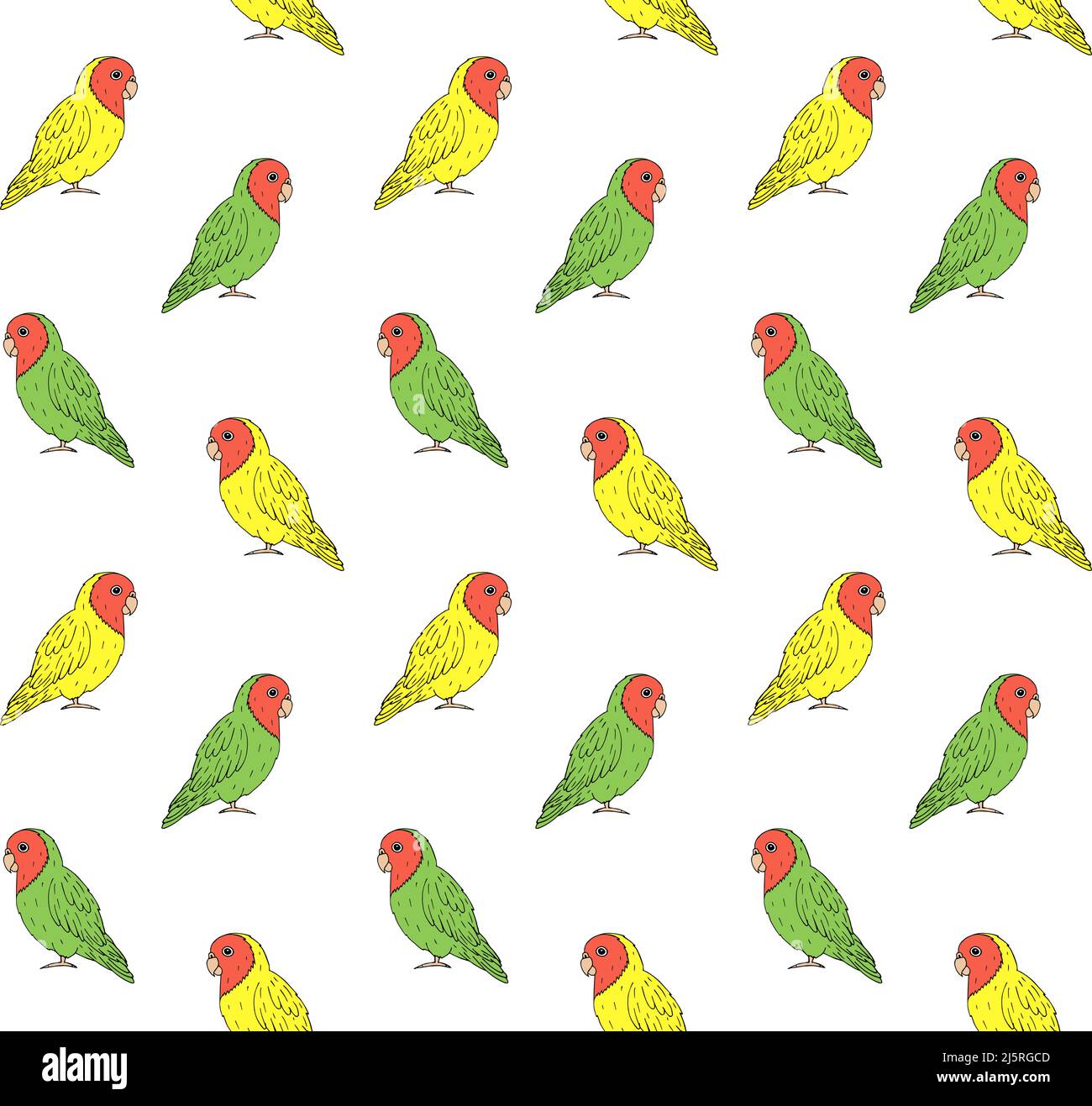 Vector seamless pattern of hand drawn doodle sketch colored lovebirds ...