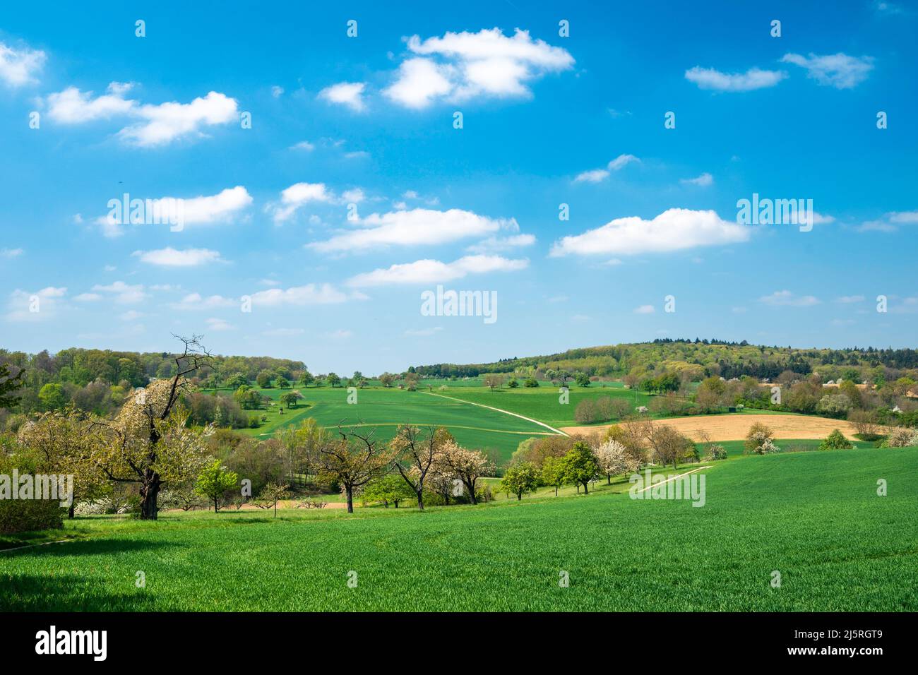 Landscape in spring in southwestern Germany Stock Photo