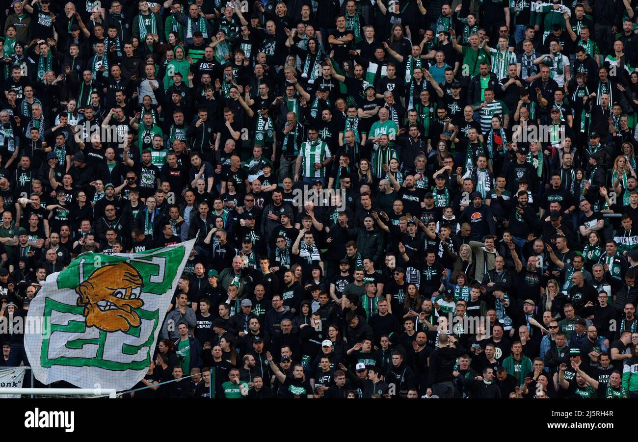 Ultra supporters of Ferencvarosi TC lift scarves over their heads