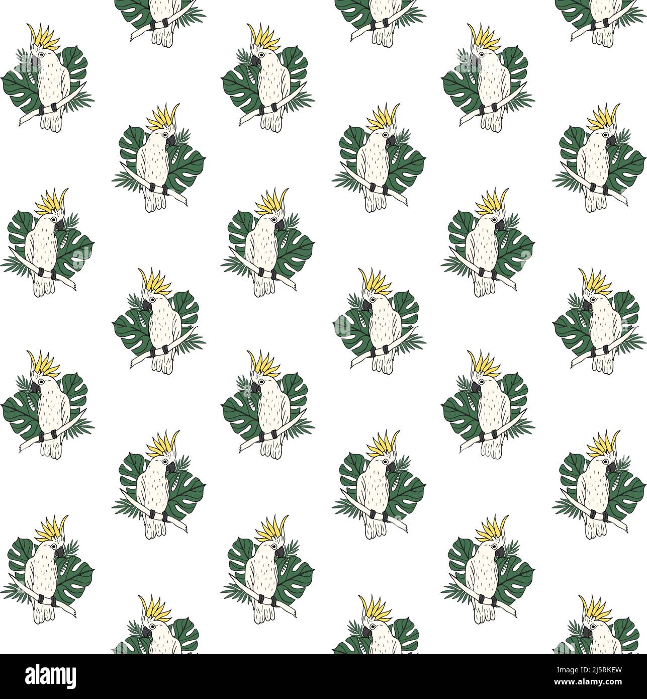 Vector seamless pattern of hand drawn doodle sketch colored cockatoo ...