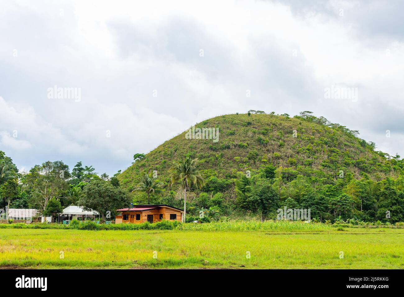 Chocolate hills, Bohol, Philippines 13.11.2019 Stock Photo Alamy