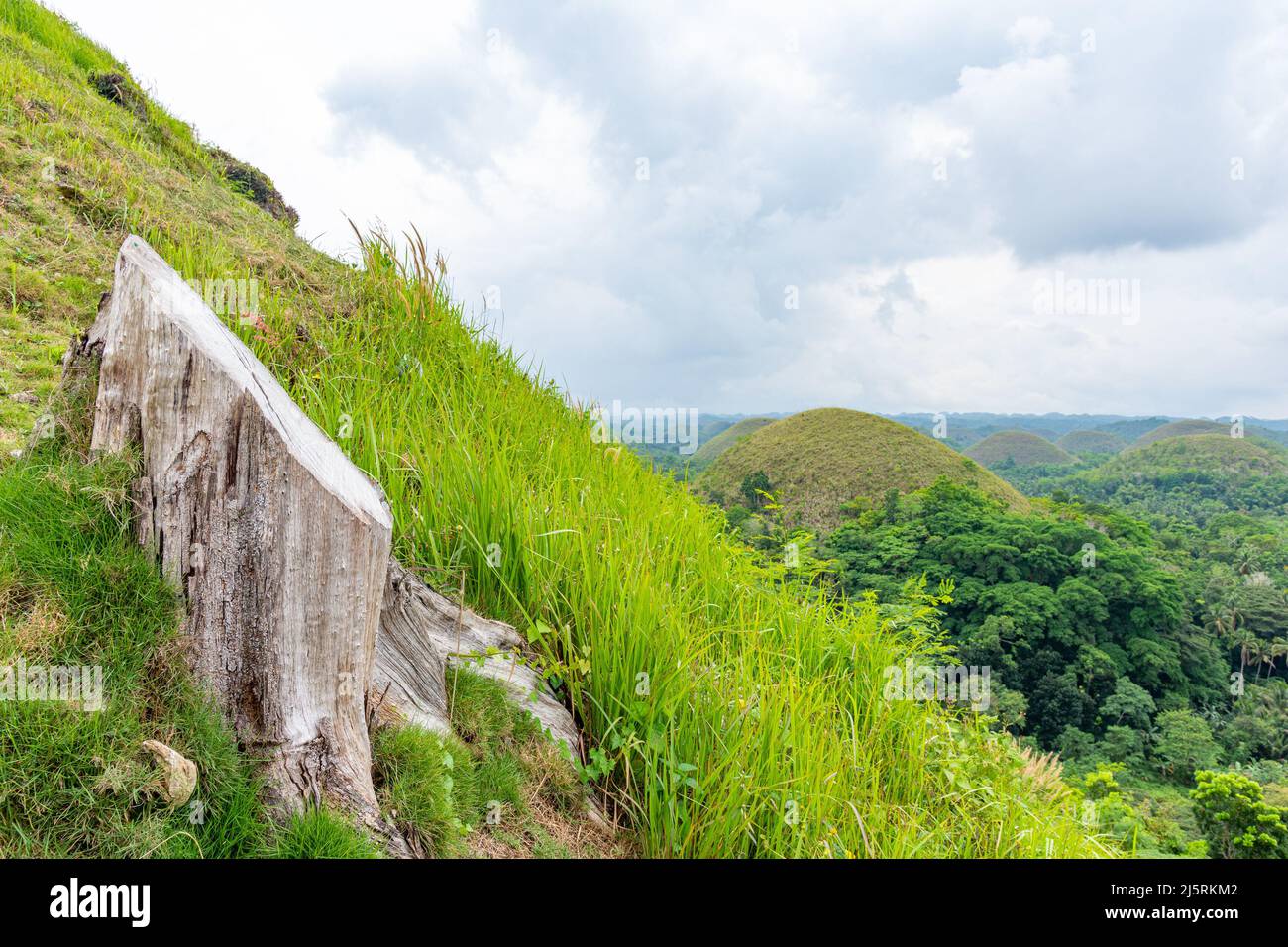Chocolate hills, Bohol, Philippines 13.11.2019 Stock Photo Alamy