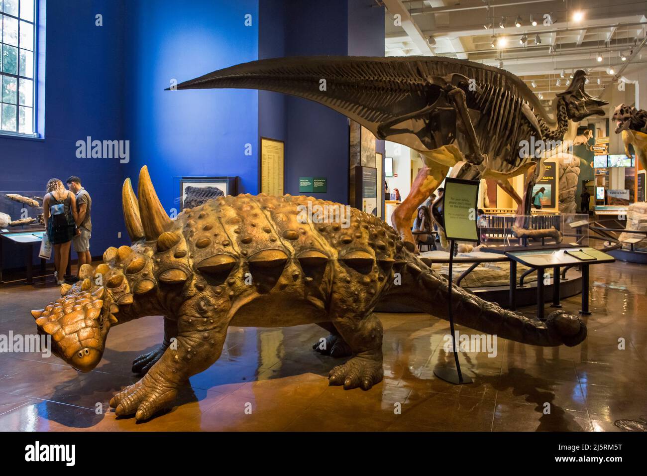 Panoramic view of an exhibition hall of replicas of diverse dinosaurs