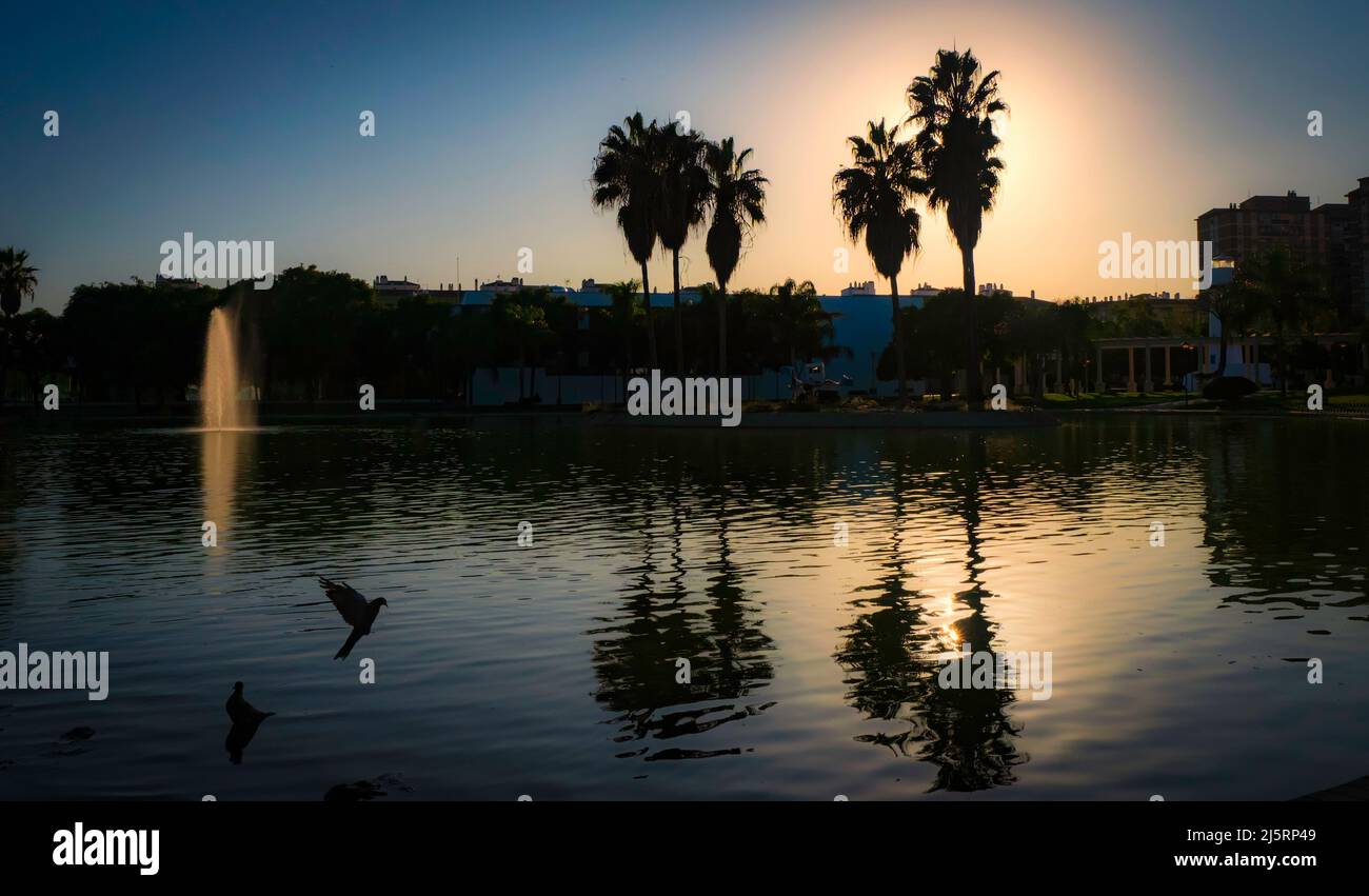 Public park with a lake and birds flying at sunset Stock Photo - Alamy