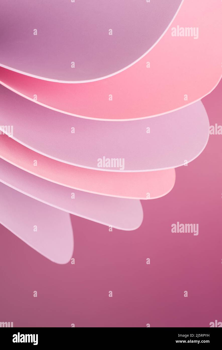 Soft pink and violet sheets curved on a pastel background. Elegant fashion wallpaper. Stock Photo