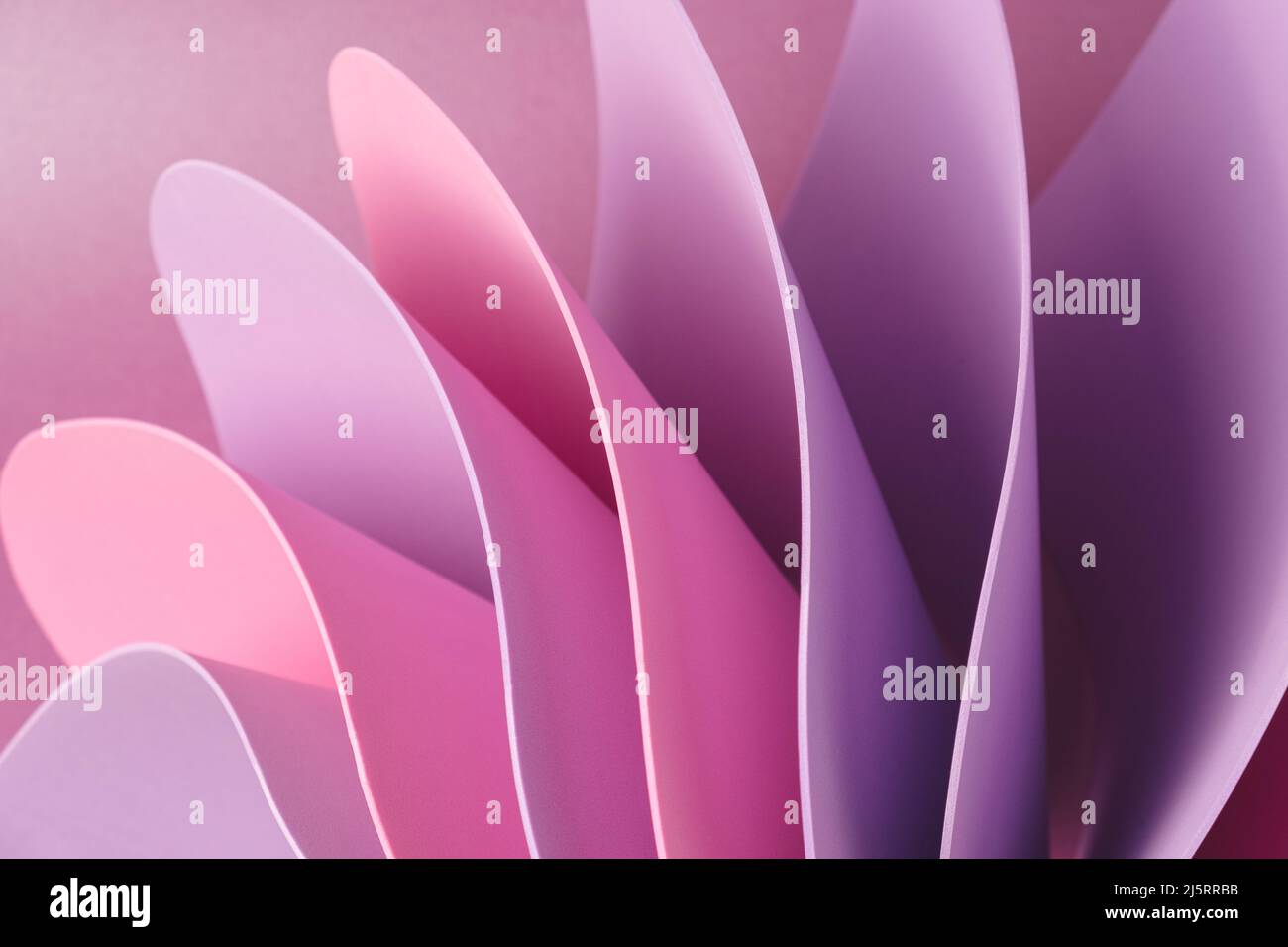 Pink and violet abstract shapes on a purple background. Elegant soft backdrop. Stock Photo