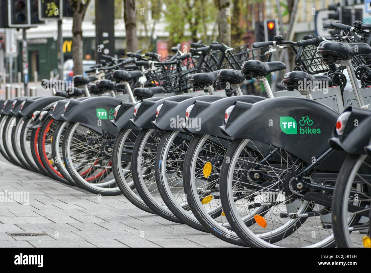 Blutbefleckt Unterdrückung Guinness bike rental cork Zuschauer Asien