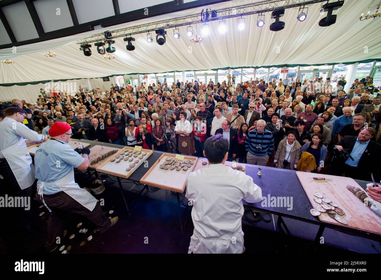 Galway oyster festival, World championships, Galway City, Ireland Stock