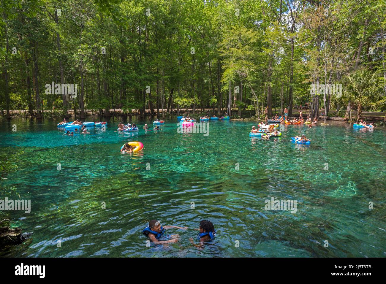 Ginnie Springs is a freshwater 2nd magnitude springs situated along the