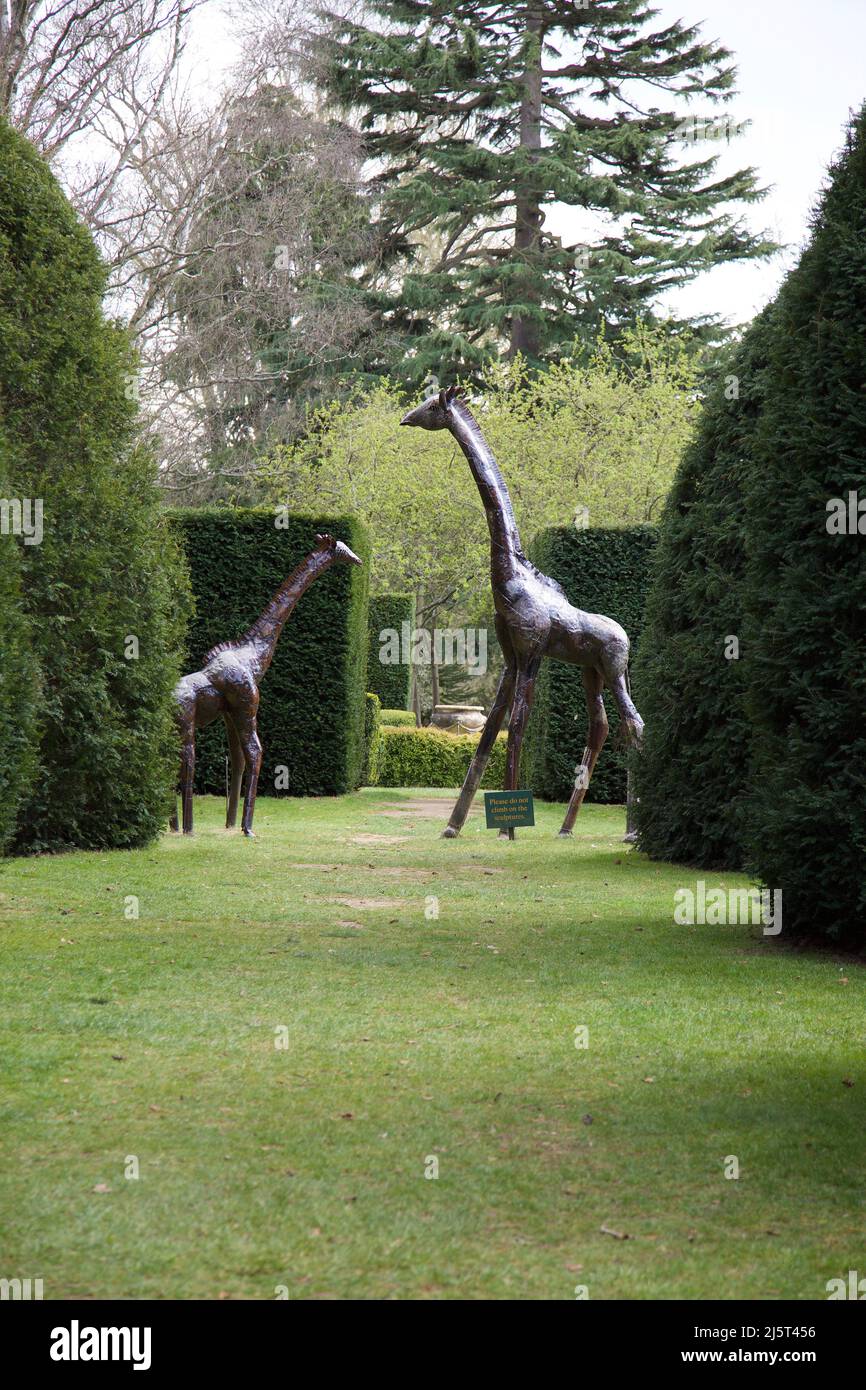 The dinosaur trail at Knebworth House, Hertfordshire, England. Stock Photo