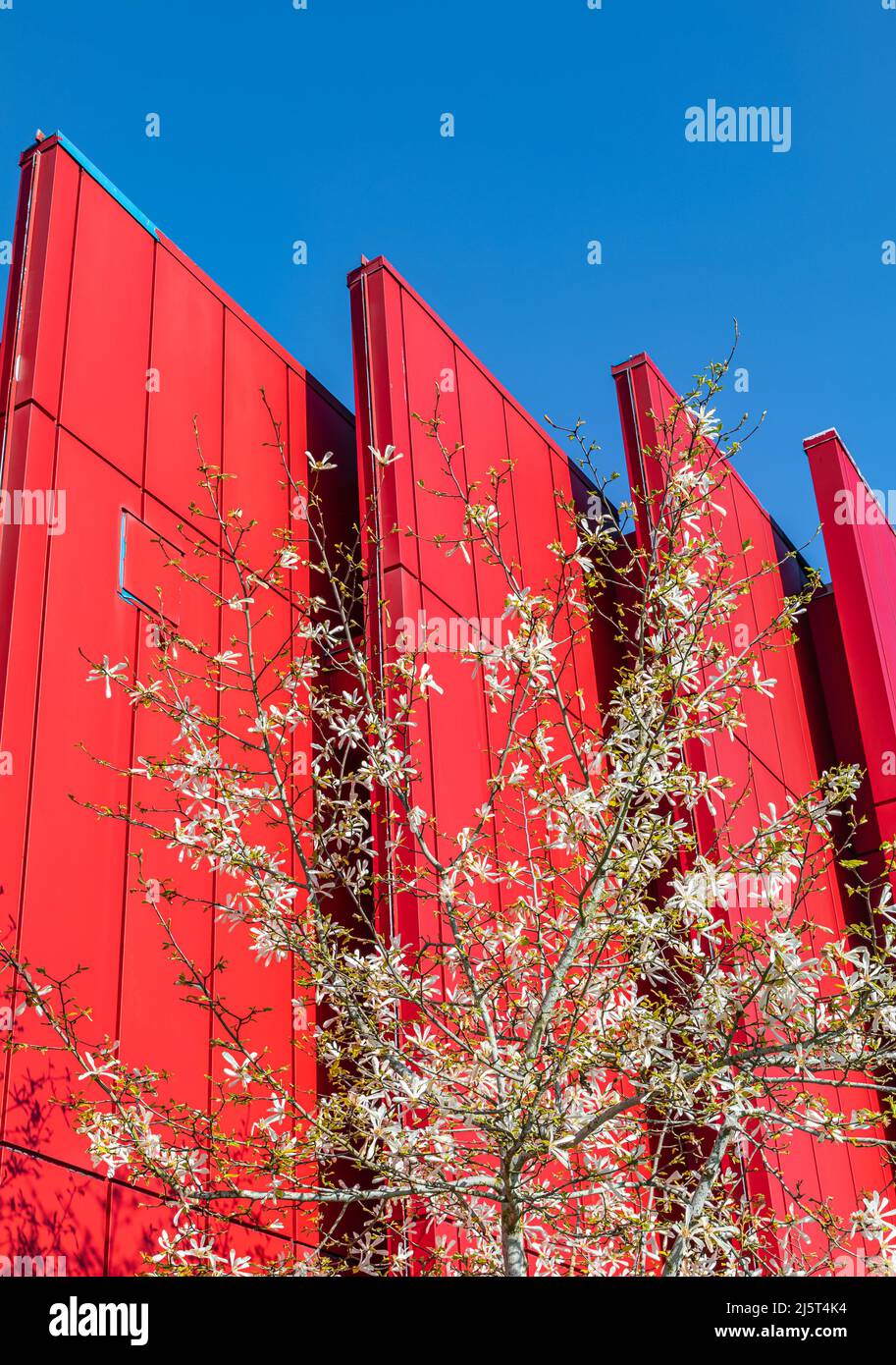 The wall of the building with triangular projections. Modern architecture in red color. Abstract geometric pattern building with spring tree. Street p Stock Photo
