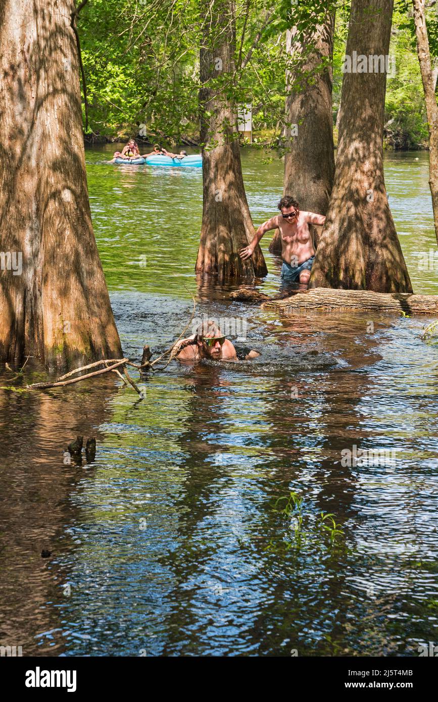 Ginnie Springs is a freshwater 2nd magnitude springs situated along the