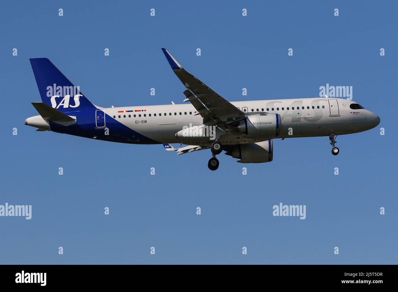 An Airbus A320 NEO operated by SAS arrives at London Heathrow Airport Stock Photo