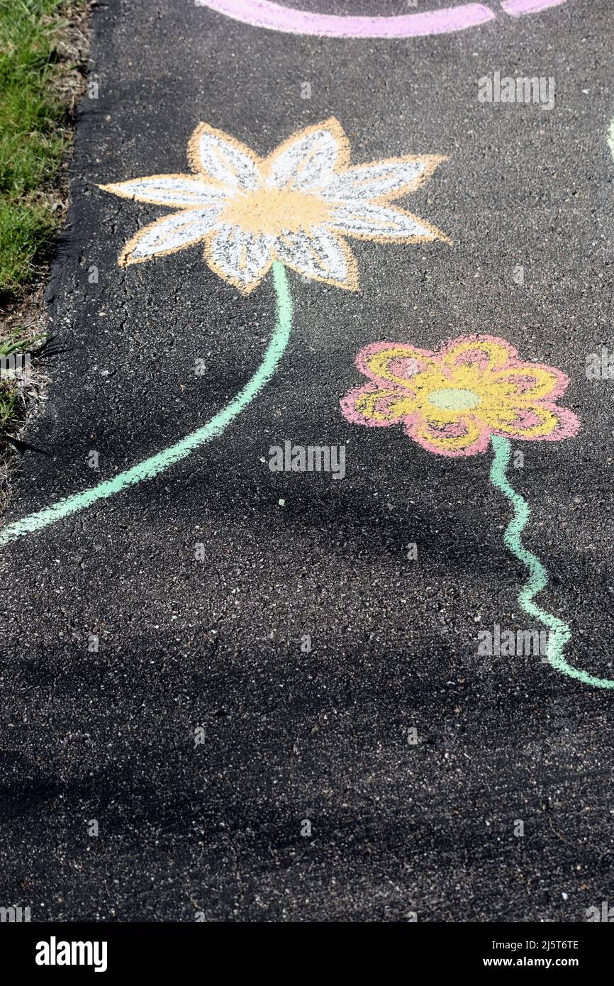 Chalk Art Flowers Stock Photo Alamy