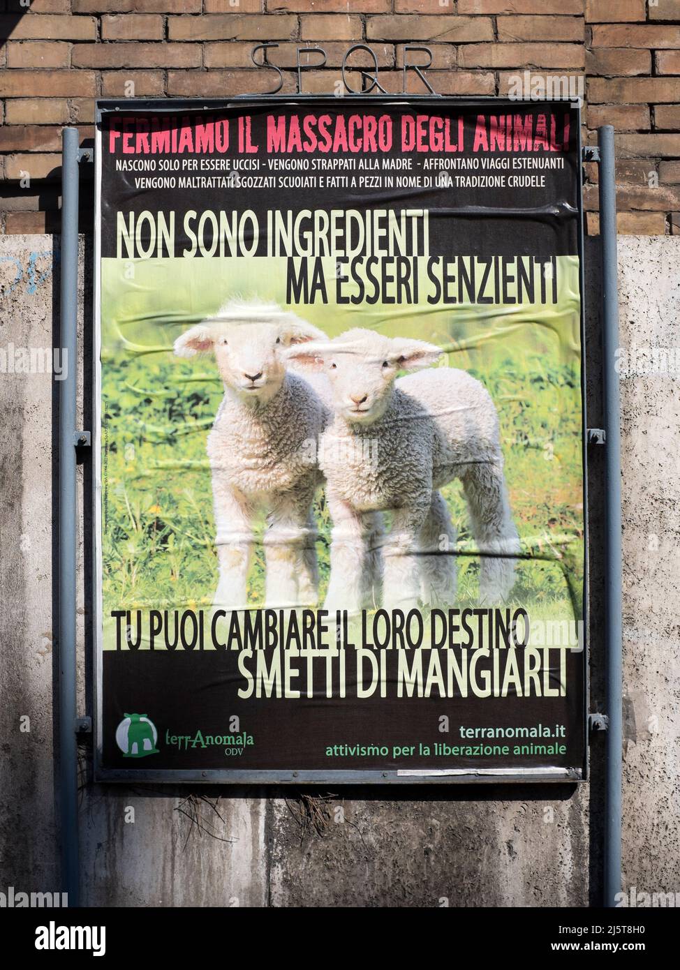 Animal Welfare Poster on Street Billboard in Rome Italy Stock Photo - Alamy