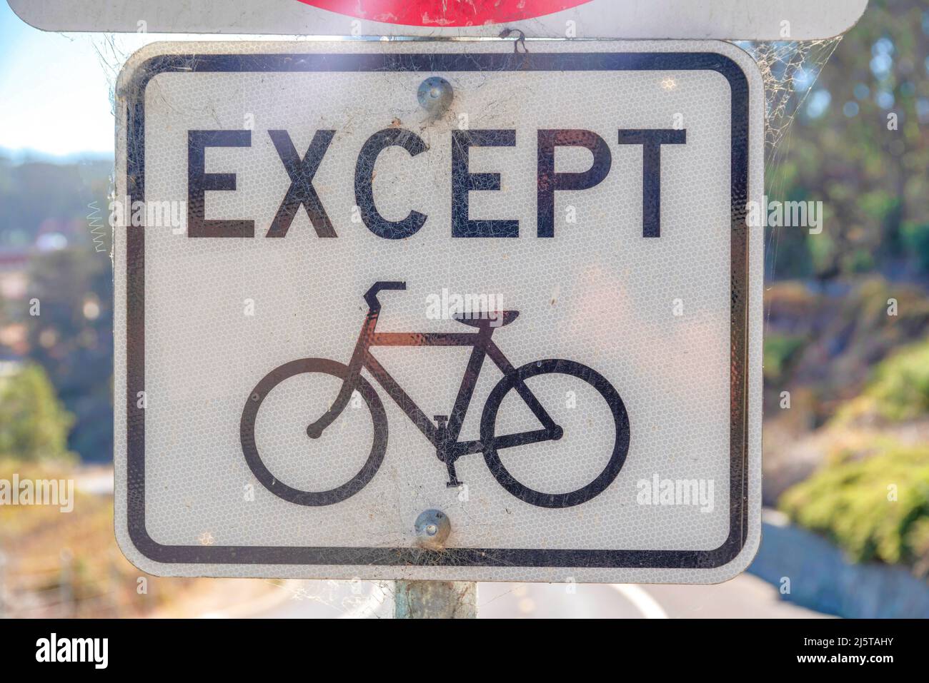 Wai young cheap bike lanes