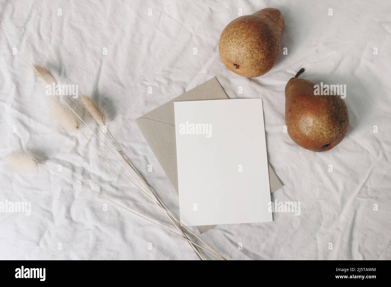 Autumn, summer still life. Bedroom composition. Blank greeting card mockup, pear fruits and envelope. Dry bunny tails, Lagurus grass. White crinkled Stock Photo