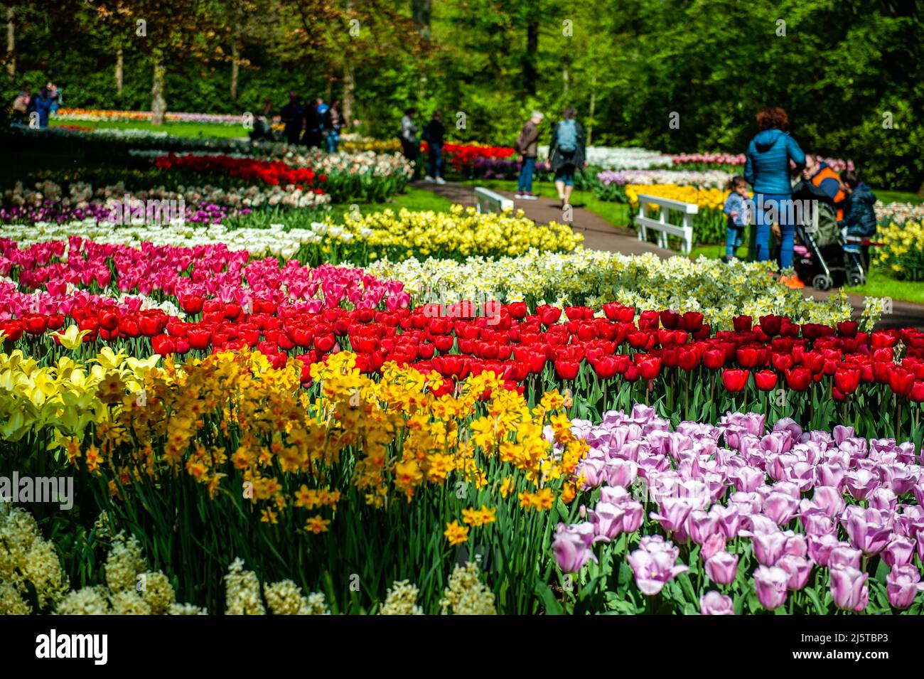 Lisse, Netherlands. 24th Apr, 2022. Families are seen enjoying the good