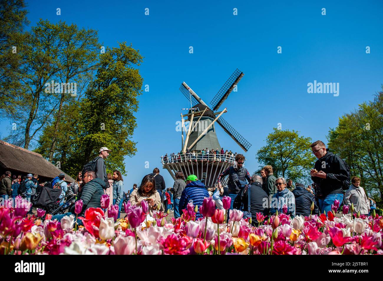 Lisse, Netherlands. 24th Apr, 2022. People are seen enjoying the good