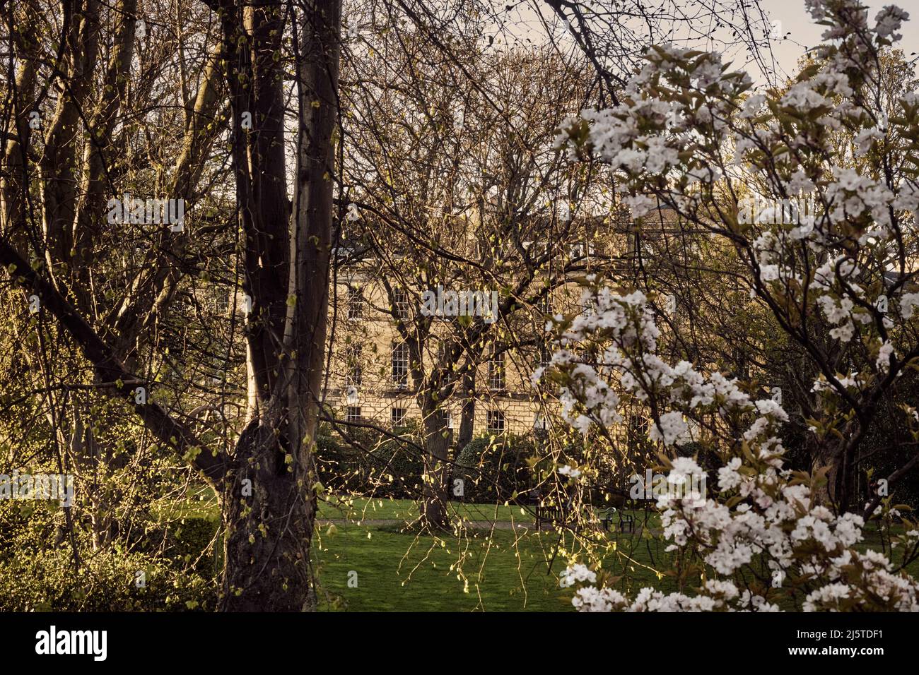 Edinburgh visual data 5