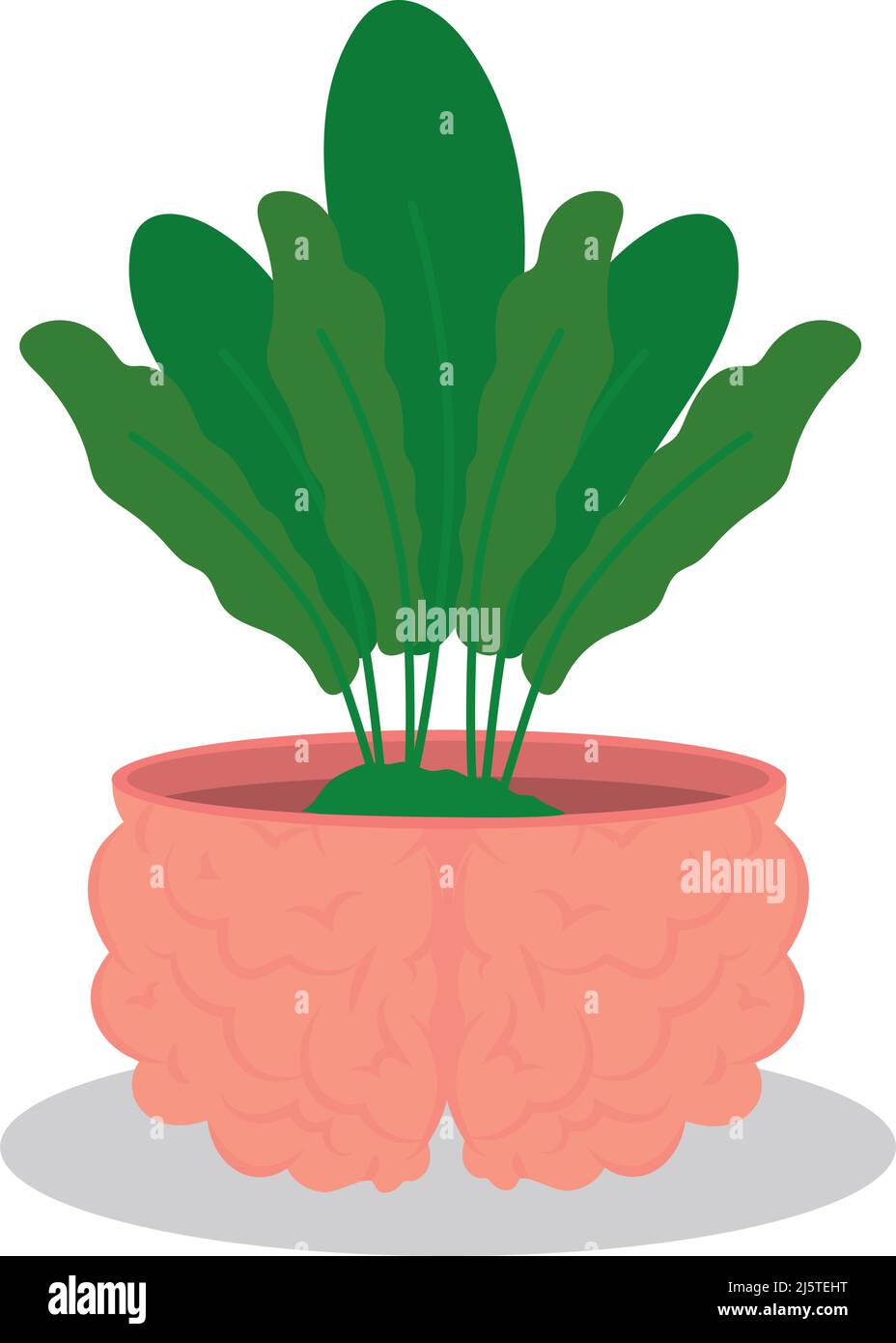 plant in a brain Stock Vector Image & Art Alamy