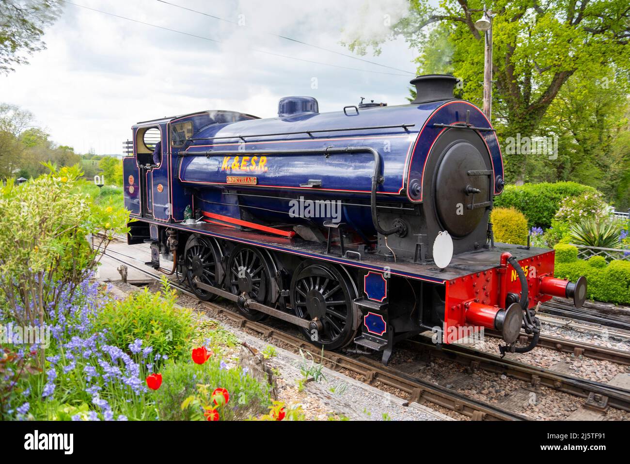 Hunslet Austerity 0-6-0ST named Northiam of the Kent & East Sussex Railway at Tenterden Town Station. Picturesque scene with bright spring flowers Stock Photo