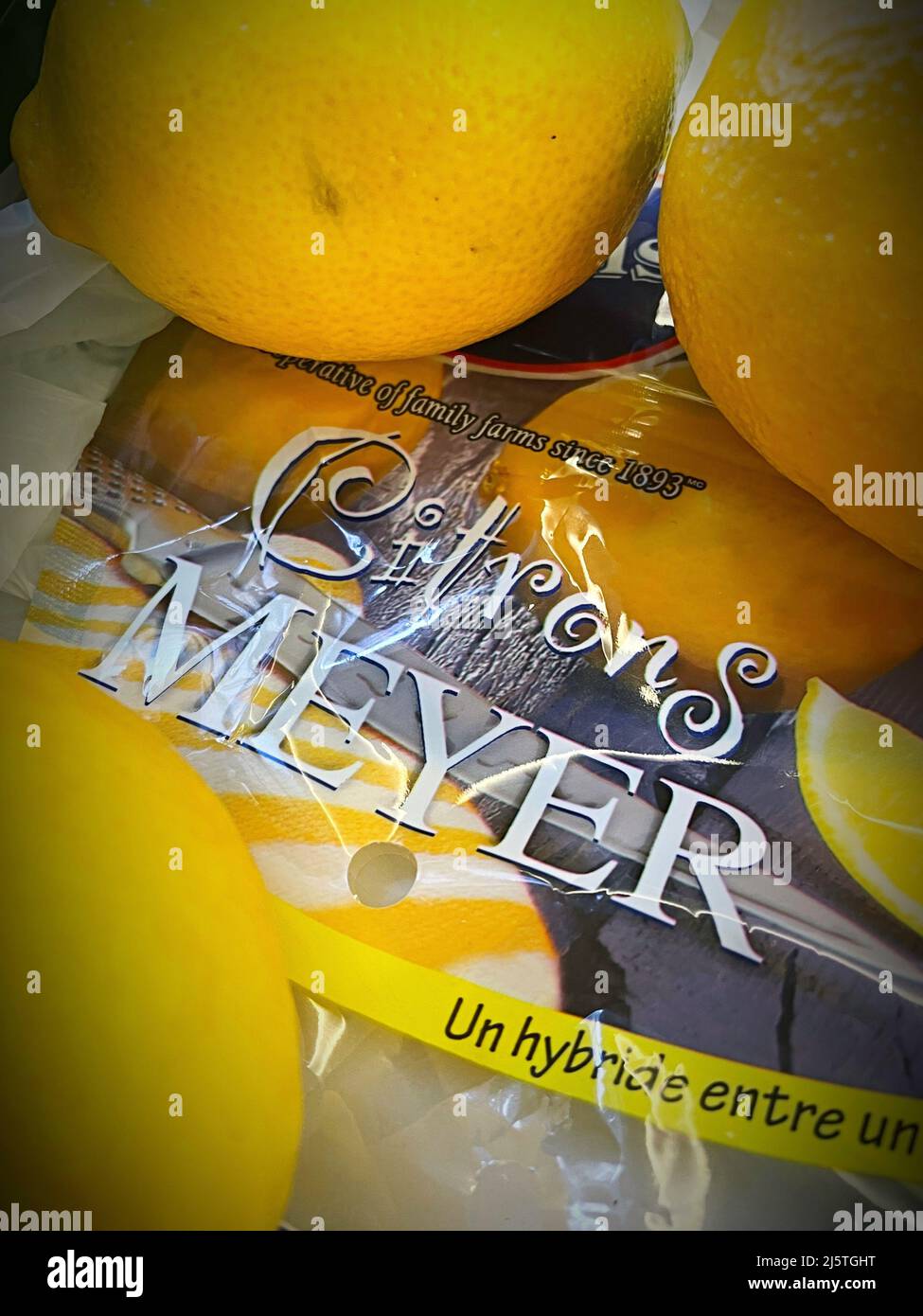 Bag of Meyer Lemons, USA Stock Photo