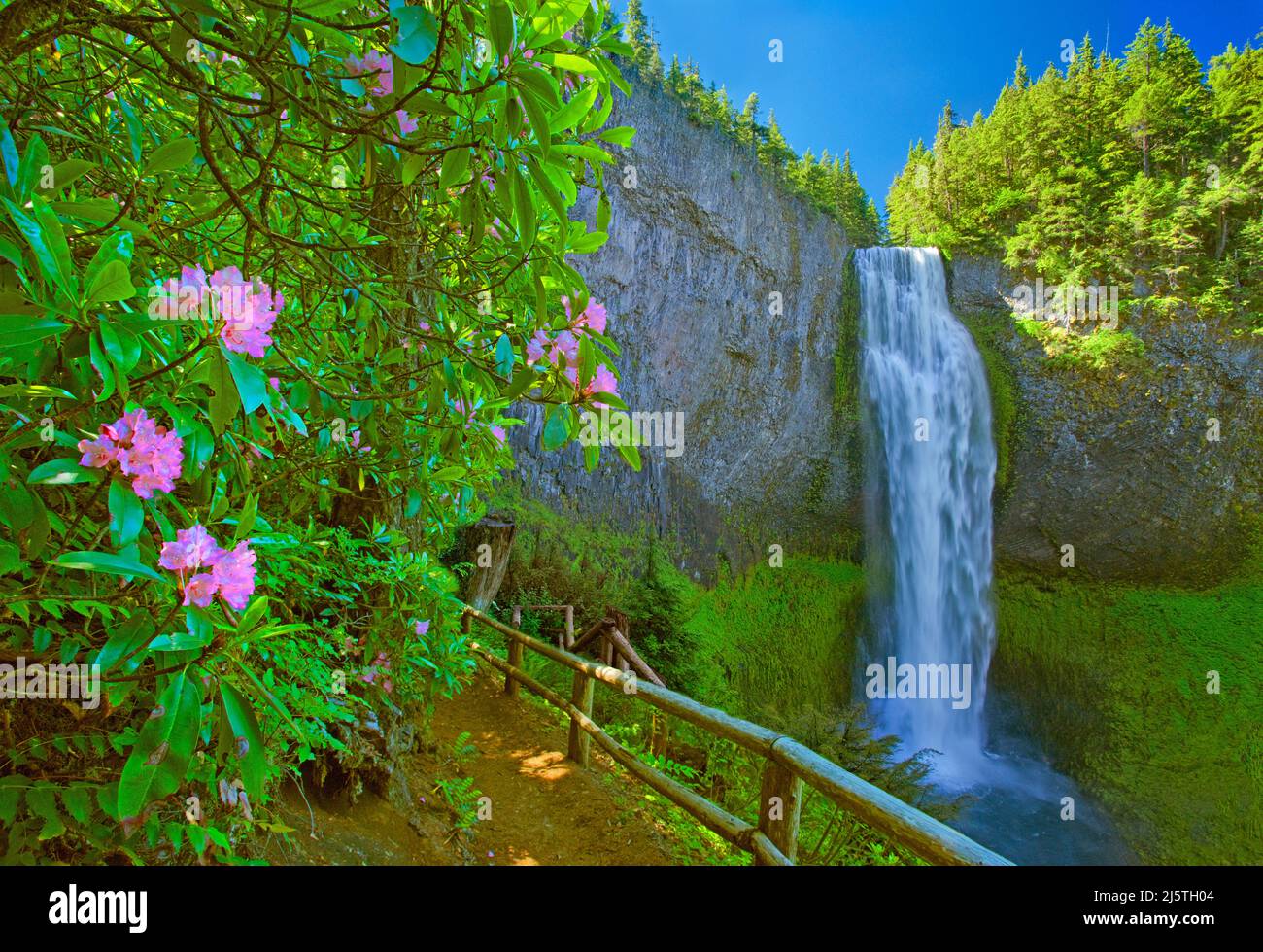 Salt Creek Falls, Cascade Range, Oregon Stock Photo Alamy
