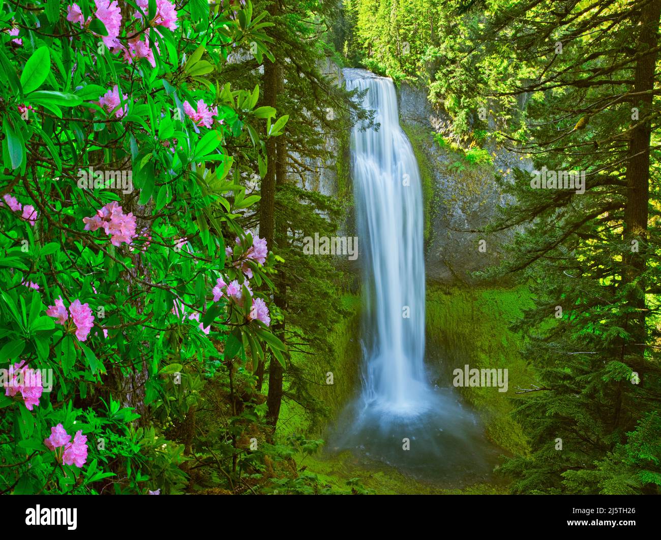 Salt Creek Falls, Cascade Range, Oregon Stock Photo Alamy