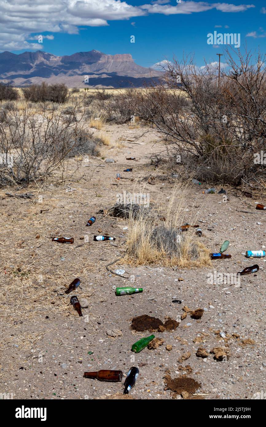 Pine Springs, Texas - Beer bottles and other trash discarded in the Chihuahuan Desert near Guadalupe Mountains National Park. Stock Photo