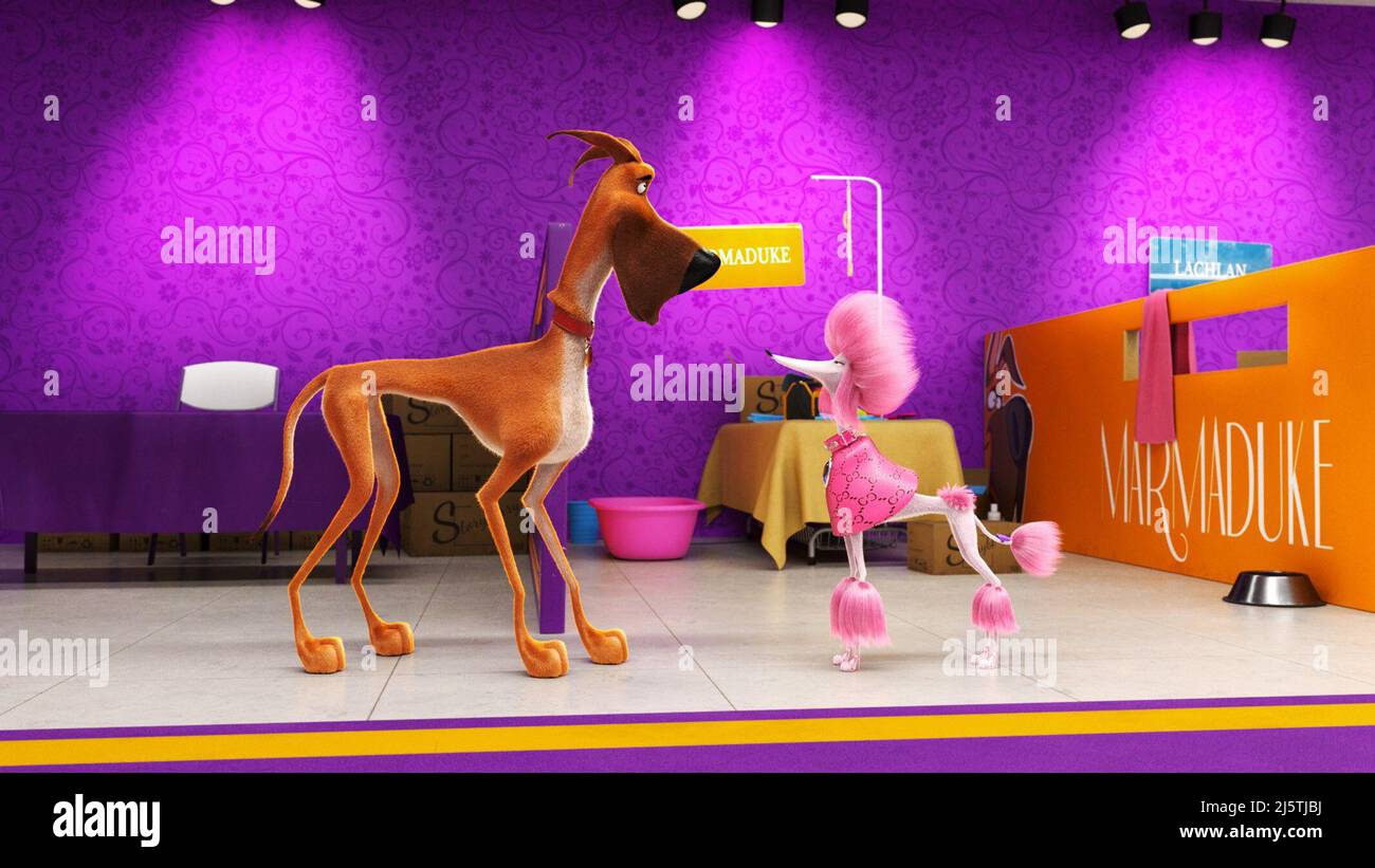 MARMADUKE, left Marmaduke (voice Pete Davidson), 2022. © Netflix