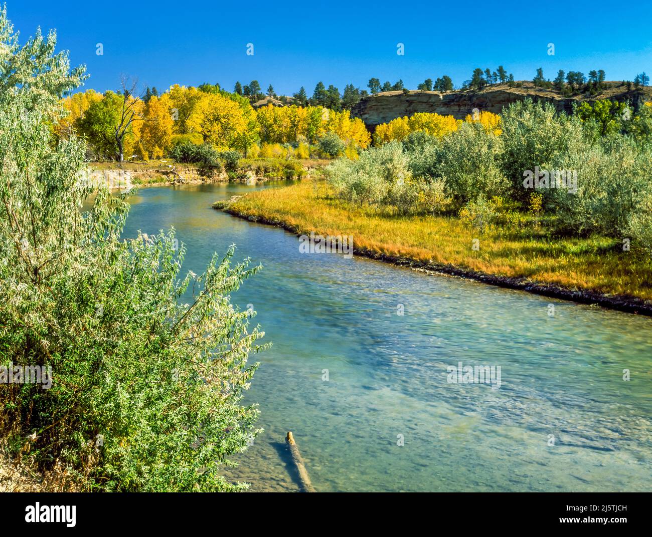 fall colors along the musselshell river near lavina, montana Stock Photo