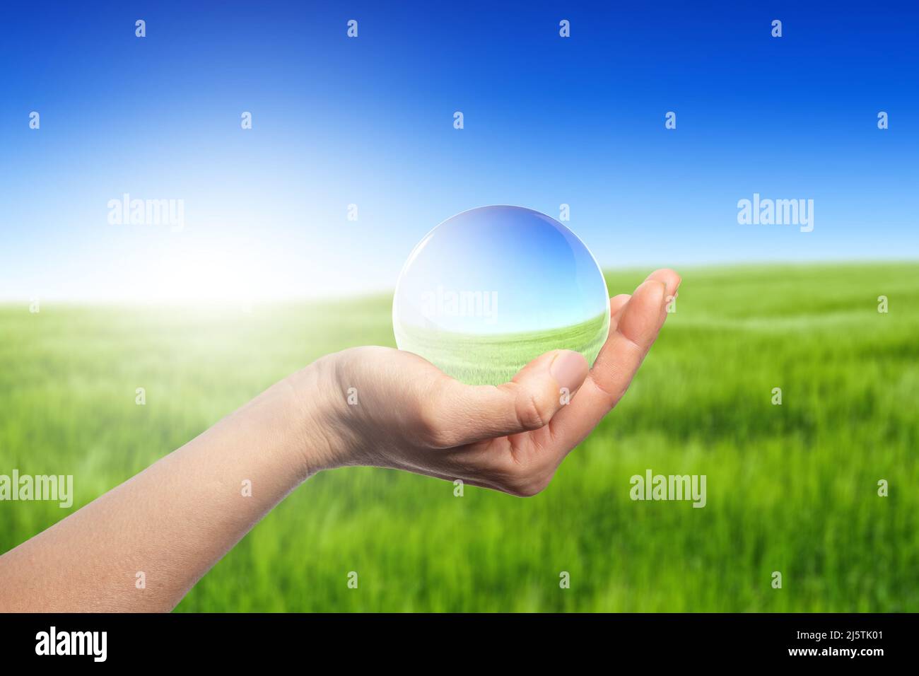 Hands holding globe glass in green grass field - Environment Concept ...