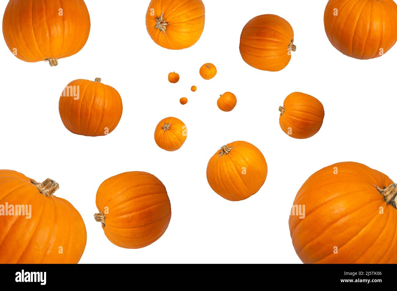 Collection of Orange Pumpkin falling isolated on white background.  Selective focus. Concept Halloween Stock Photo - Alamy