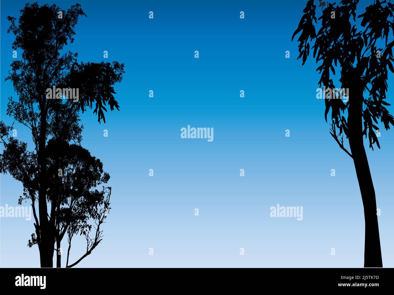 silhouette of black gum trees and a blue background Stock Vector