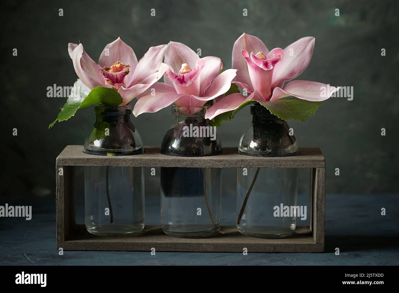 A studio photo of pink orchids in small glass bottles stock photo alamy