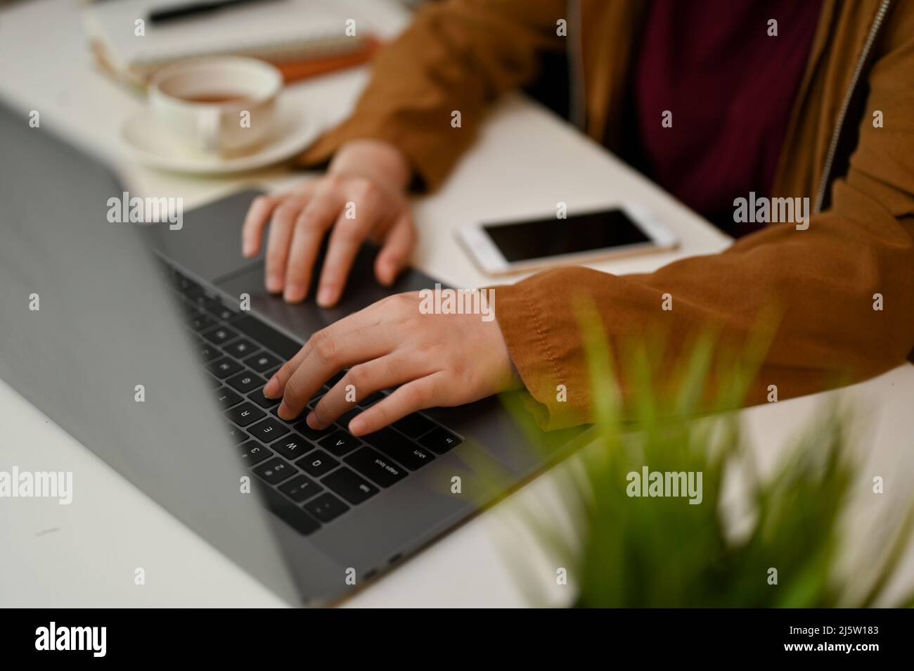 Close-up, Female employee, freelancer, college student using laptop computer, typing on keyboard. Stock Photo