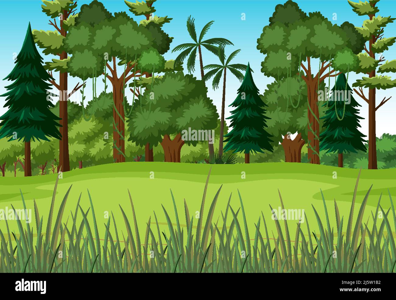 Scene with green grass in forest illustration Stock Vector Image & Art ...
