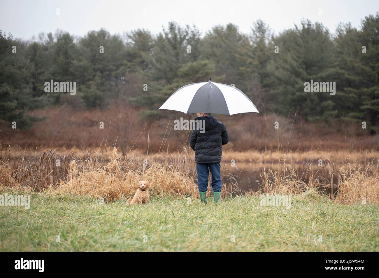 A boy holding an umbrella looking at his puppy in front of a pon Stock Photo