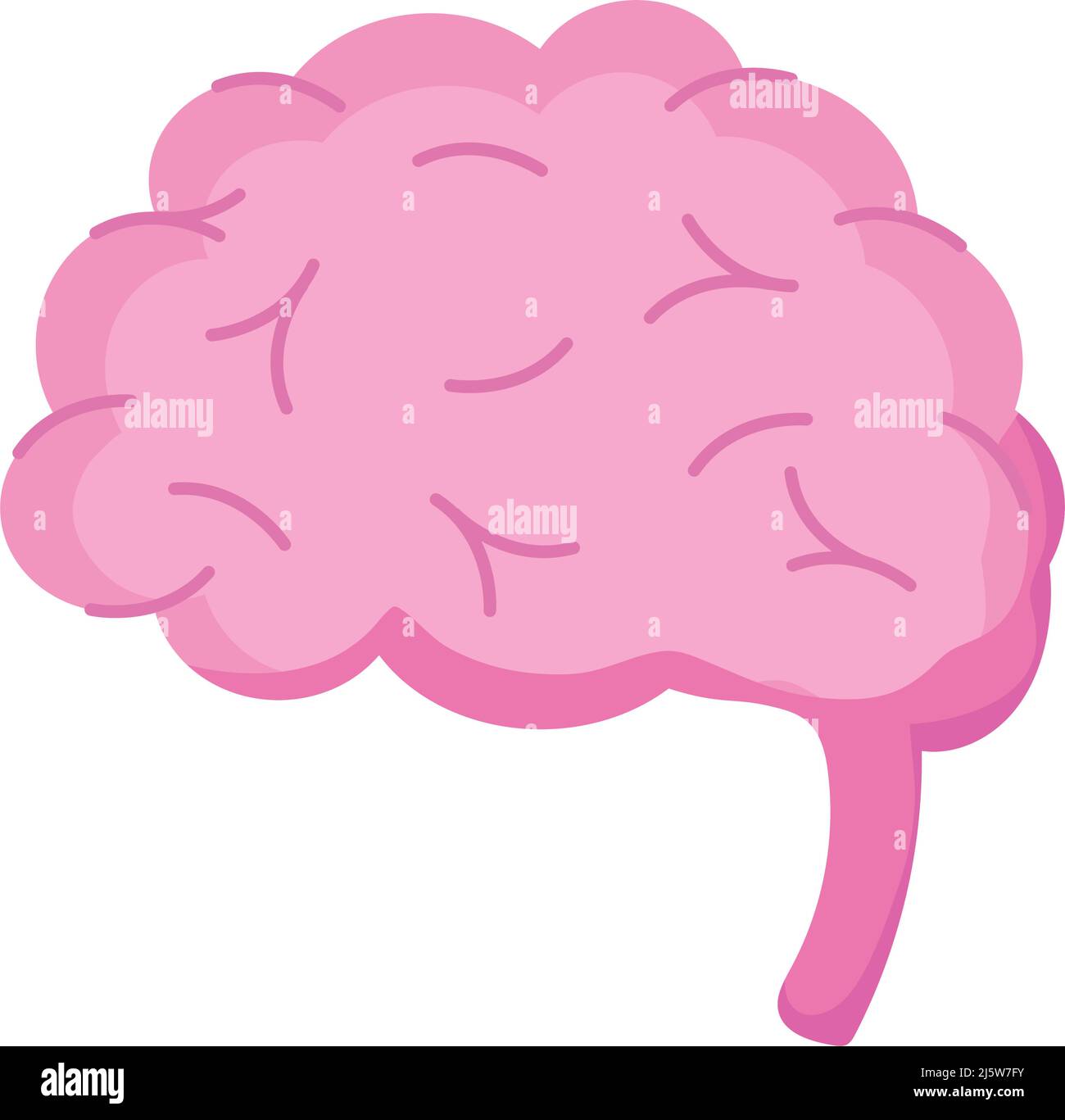 brain human organ Stock Vector Image & Art - Alamy