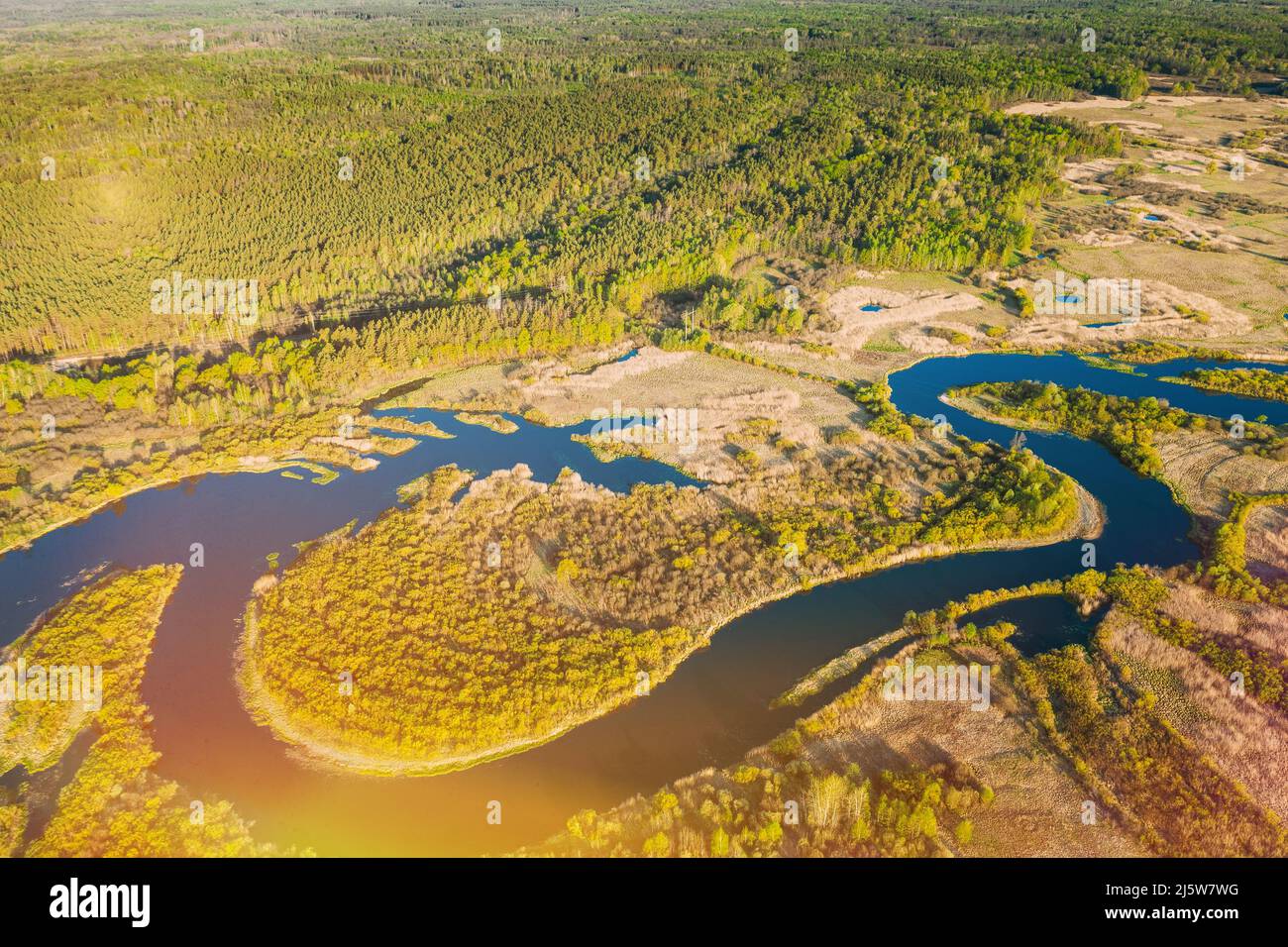 Aerial View Green Forest Woods And River Landscape In Sunny Summer Day. Top View Of Beautiful European Nature From High Attitude In Season. Drone View Stock Photo