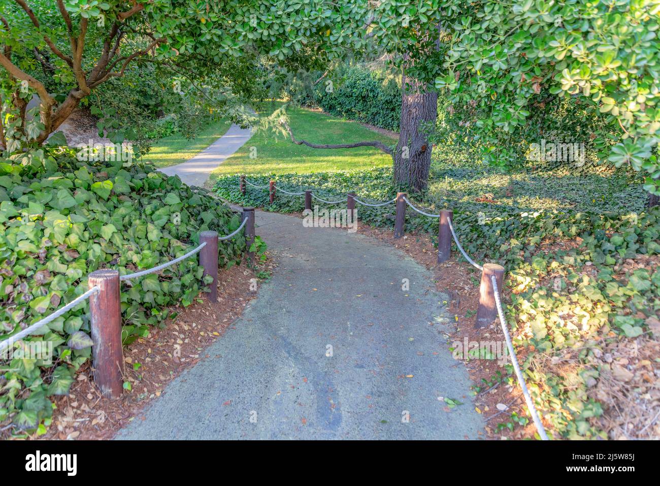Sloped concrete walkway in the middle of crawling plants at Japanese Friends Garden in San Jose, CA Stock Photo
