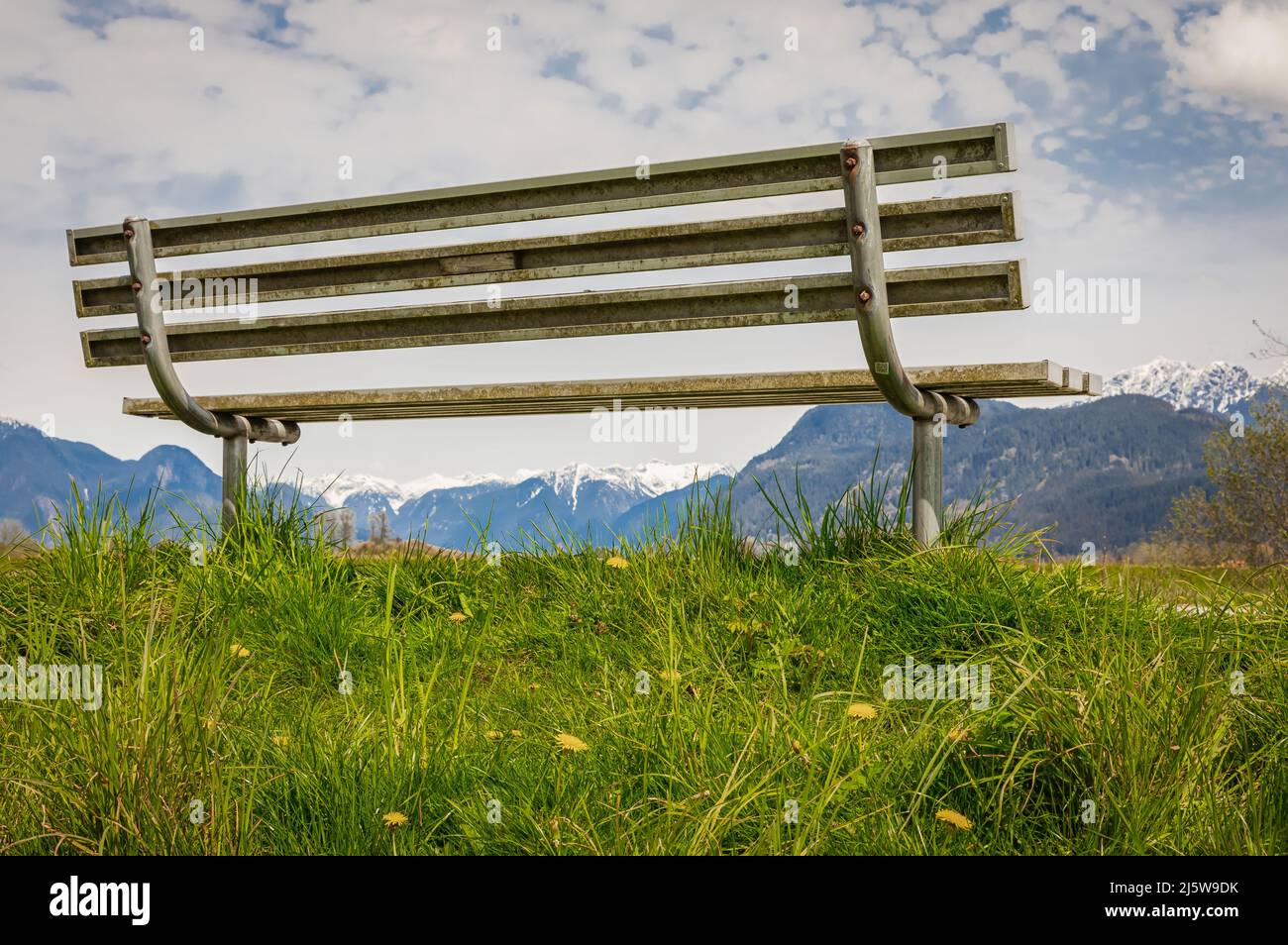 An Empty Bench Empty bench in the park with green fresh grass. Park bench at the blue ...