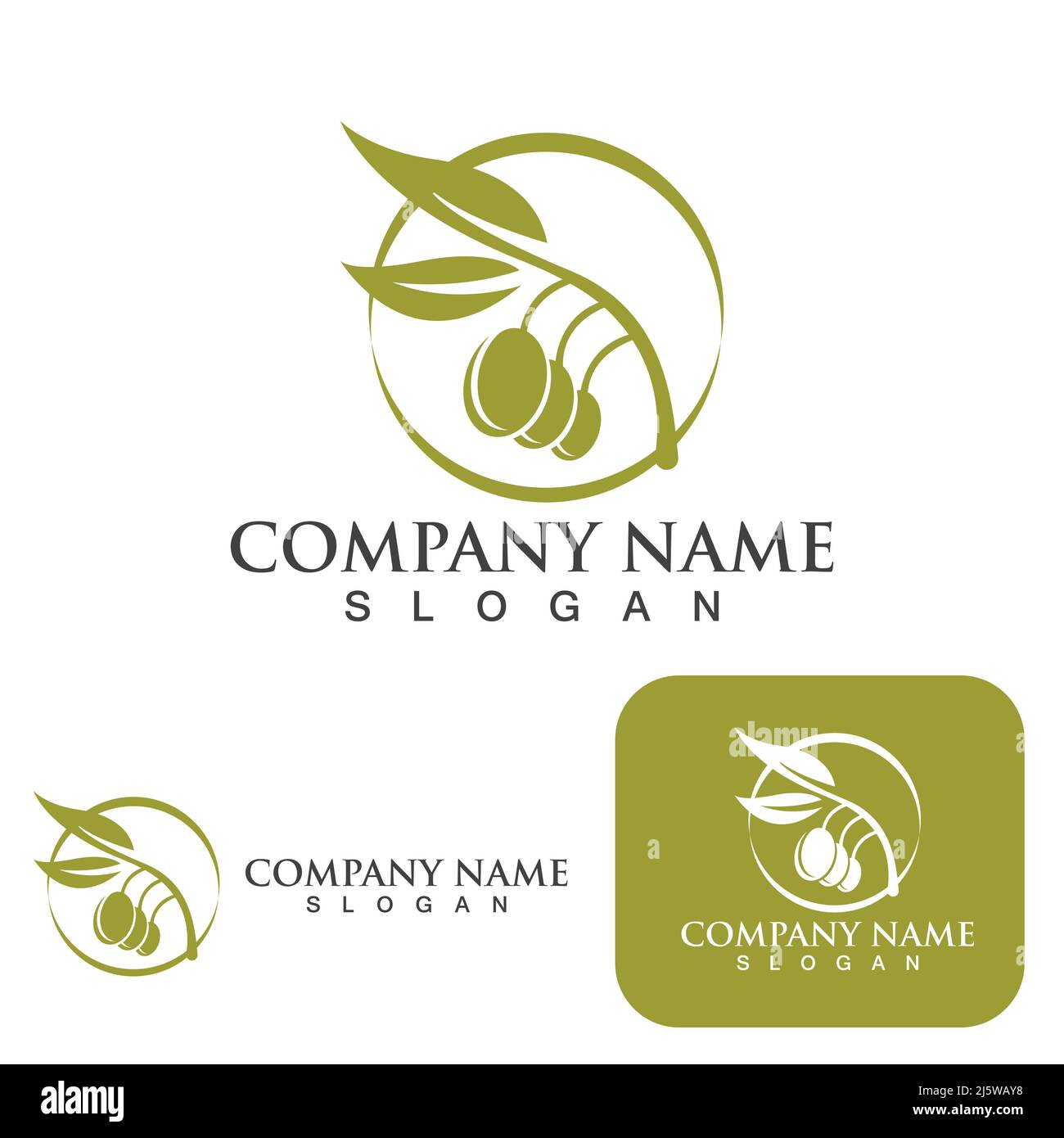 Olive tree vector illustration design template Stock Vector Image & Art ...