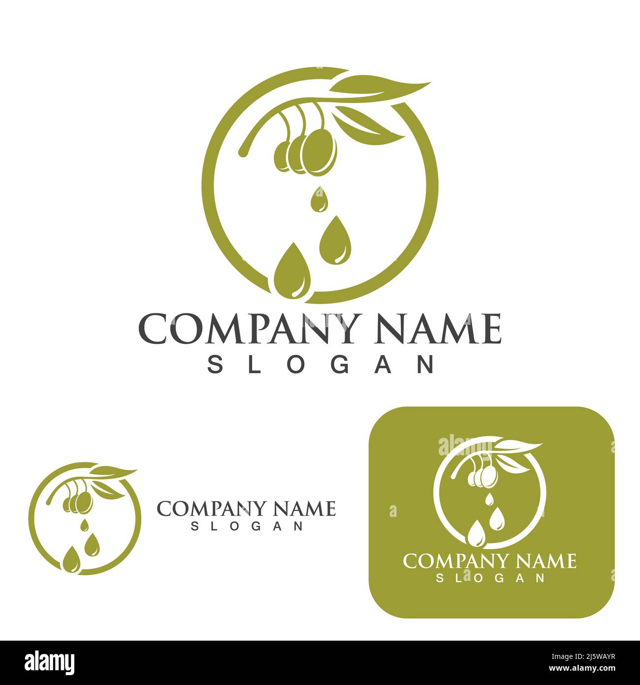 Olive tree vector illustration design template Stock Vector Image & Art ...