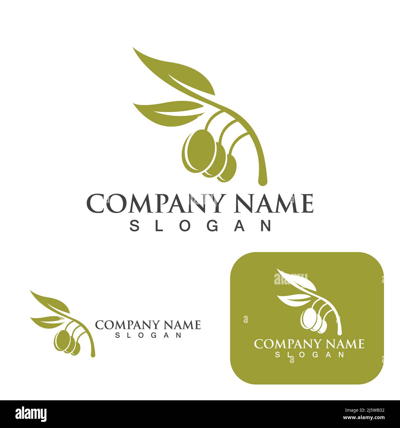 Olive tree vector illustration design template Stock Vector Image & Art ...