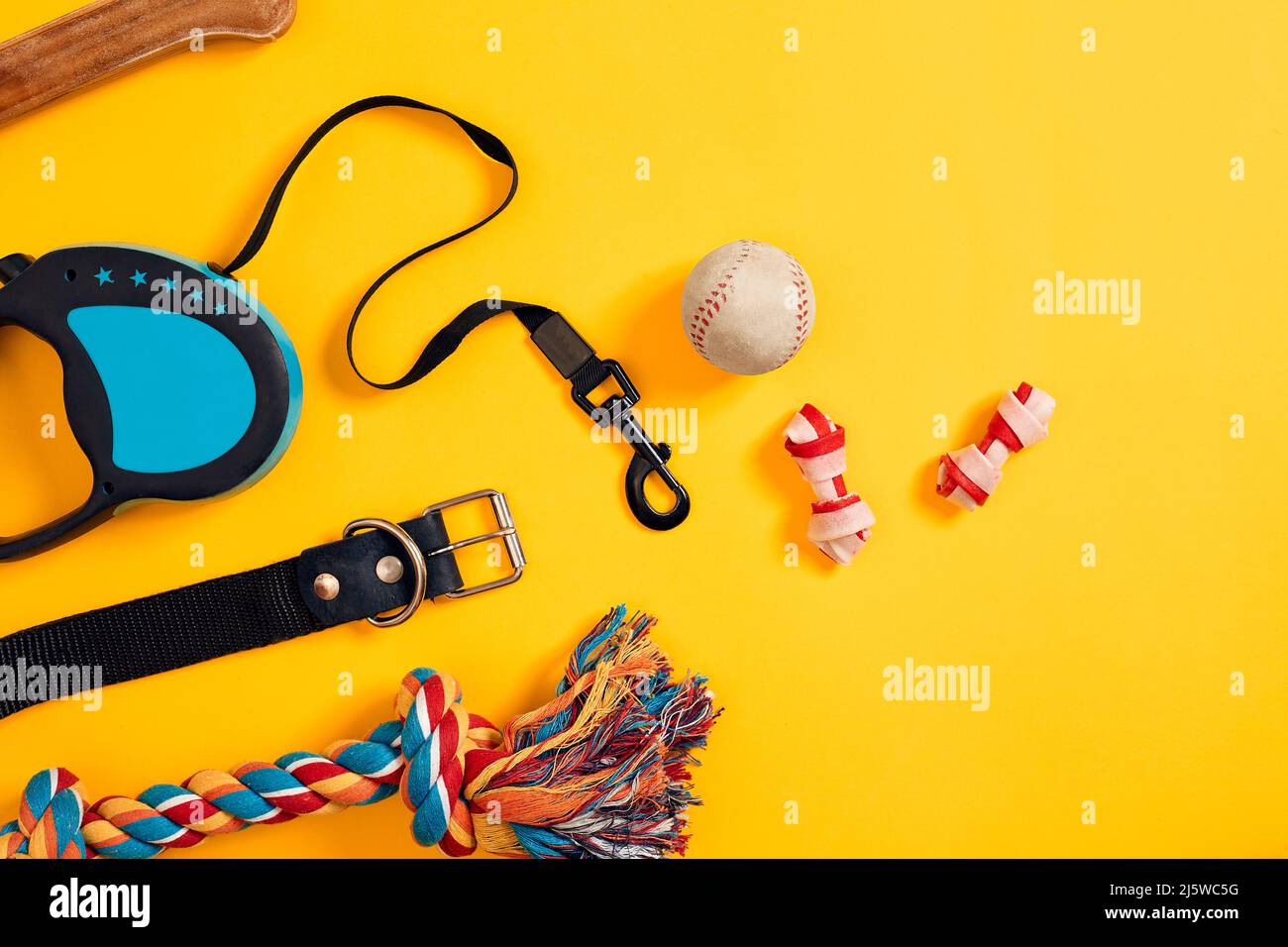 Toys -multi coloured rope, ball, leather leash and bone. Accessories ...