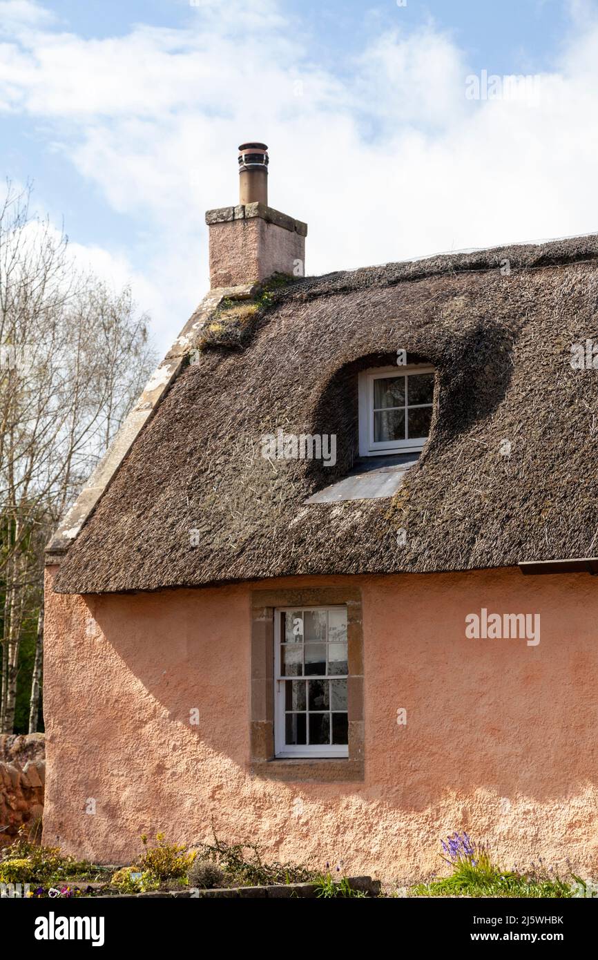 Traditional Thatched cottage in the Fife village of Collessie, Scotland Stock Photo